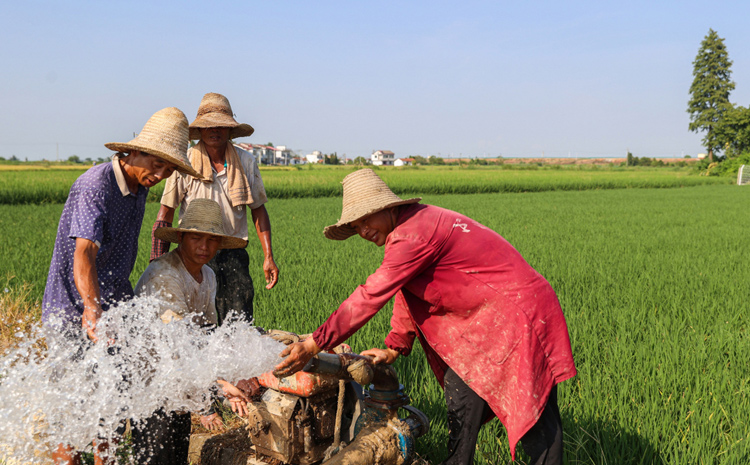 ��ʰߔ̵��ļ���Ƭ���u